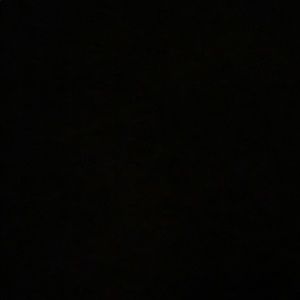 Meet your Posher, Molly